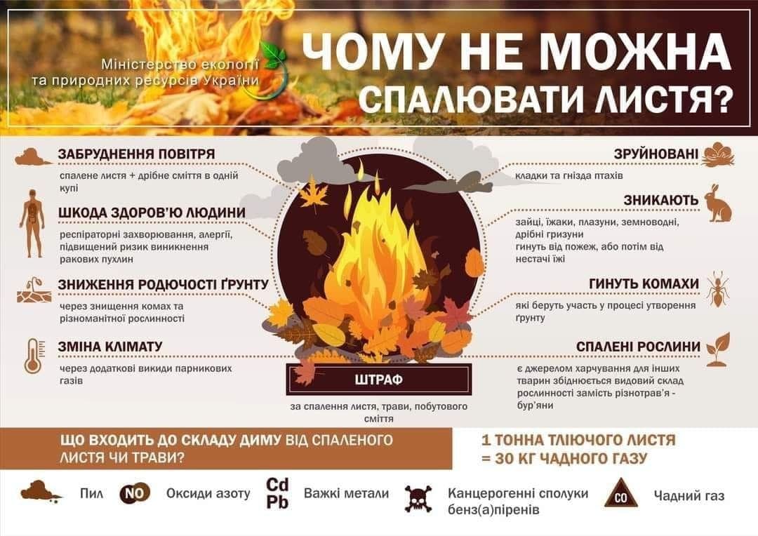 ‼️Чому палити листя небезпечн⁉️ ‼️Чому палити листя небезпечн⁉️