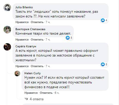 Дніпряни шукають юриста аби покарати винних у масовій загибелі кажанів