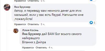 Дніпряни шукають юриста аби покарати винних у масовій загибелі кажанів