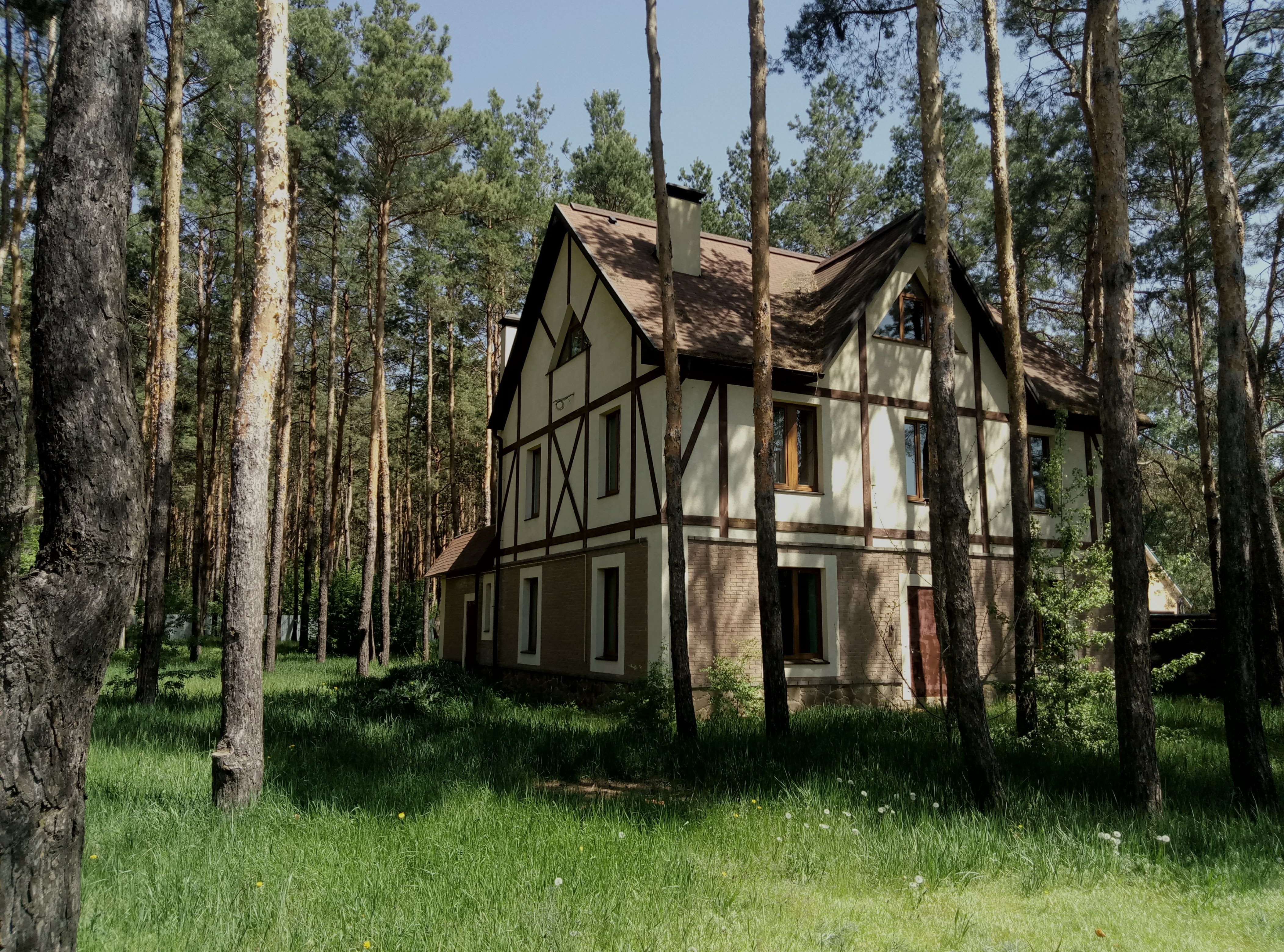 Дом в сосновом лесу с.Песчанка