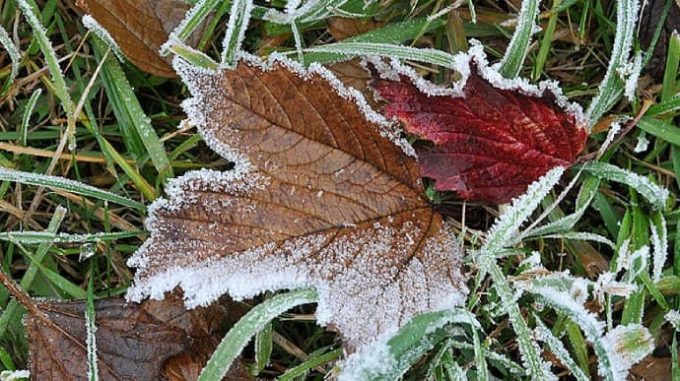 ❄️?☂️Надзвичайники попередили про погіршення погодних умов.