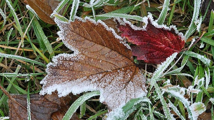❄️?☂️Надзвичайники попередили про погіршення погодних умов.