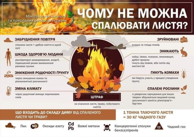 ‼️Чому палити листя небезпечн⁉️