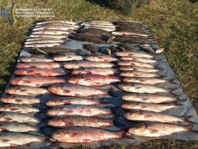 ​?Браконьєри виловили майже 100 кг риби з р.Оріль