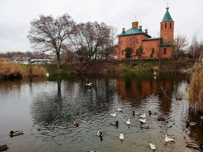 Поки ви спали.. заморські гості оселилися в Дніпрі.