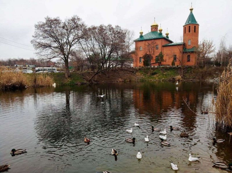 Поки ви спали.. заморські гості оселилися в Дніпрі.