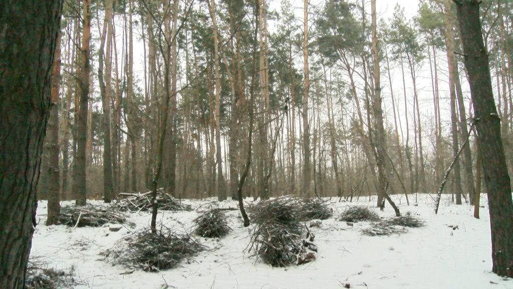 Злочин неймовірних розмірів у Піщанці 
