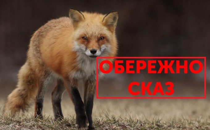 Офіційно! Оголошено карантин у лісах Дніпропетровщини